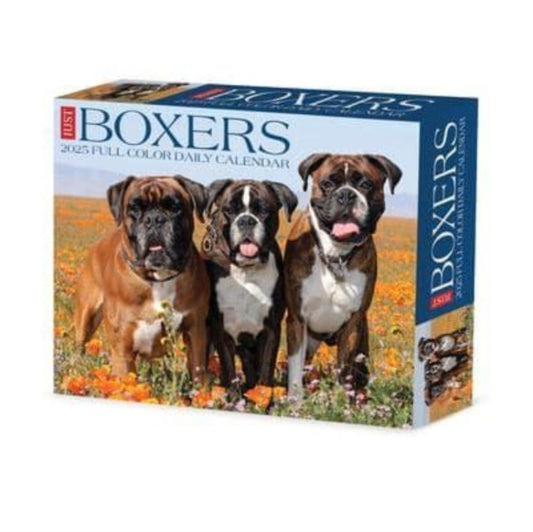 Boxers 2025 6.2 X 5.4 Box Calendar-9781549240690