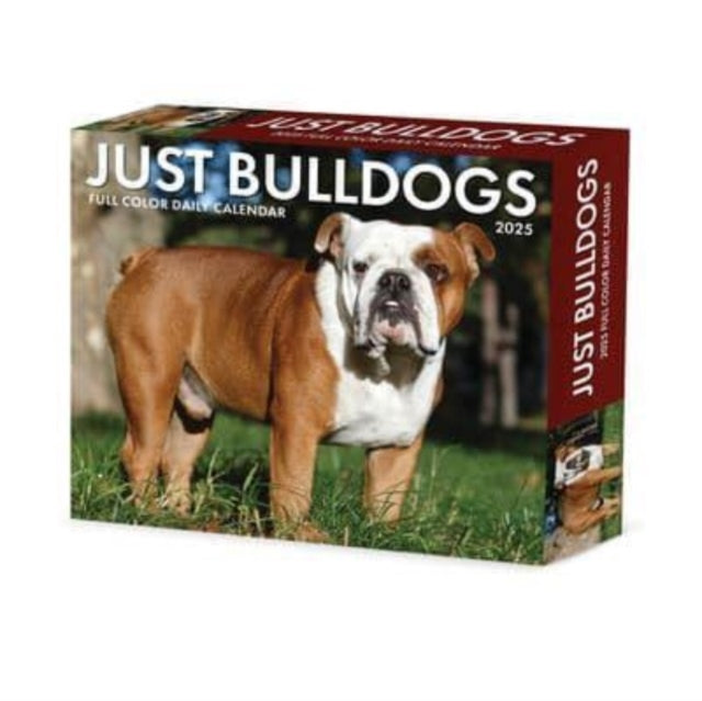 Bulldogs 2025 6.2 X 5.4 Box Calendar-9781549240706