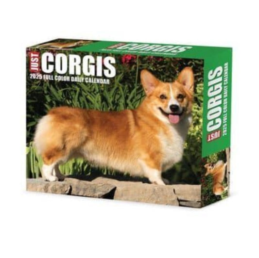 Corgis 2025 6.2 X 5.4 Box Calendar-9781549240751