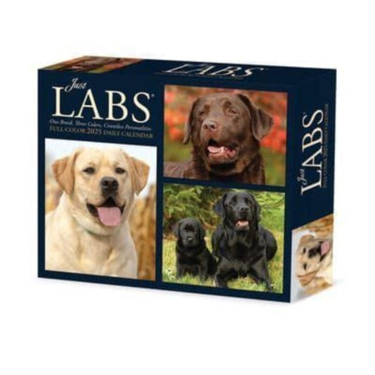 Labs 2025 6.2 X 5.4 Box Calendar-9781549240928