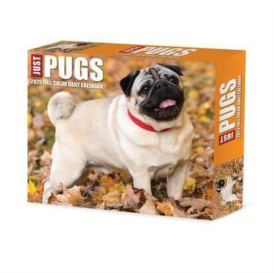 Pugs 2025 6.2 X 5.4 Box Calendar-9781549240997