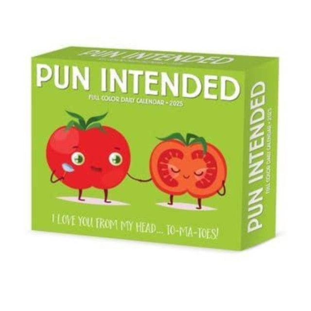 Pun Intended 2025 6.2 X 5.4 Box Calendar-9781549241000