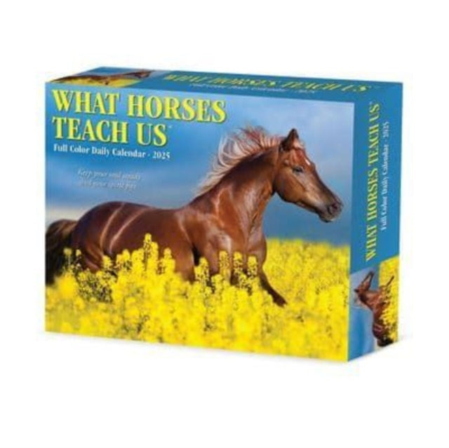 What Horses Teach Us 2025 6.2 X 5.4 Box Calendar-9781549241123