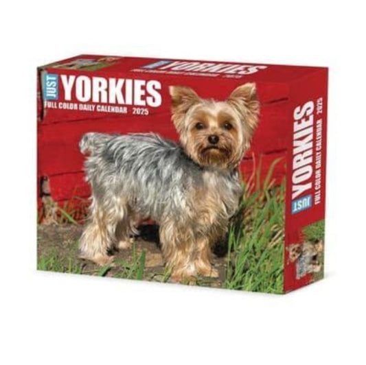 Yorkies 2025 6.2 X 5.4 Box Calendar-9781549241130