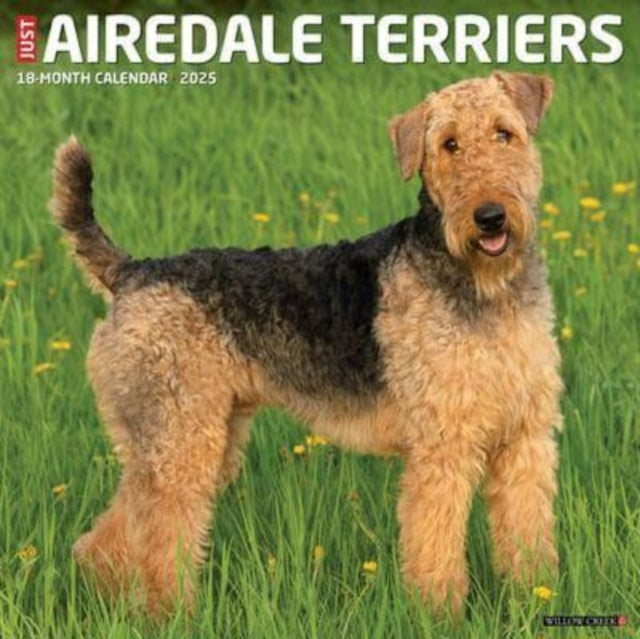 Just Airedale Terriers 2025 12 X 12 Wall Calendar-9781549241253