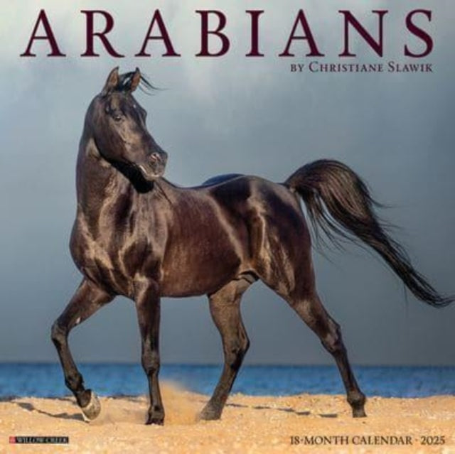 Arabians 2025 12 X 12 Wall Calendar-9781549241413