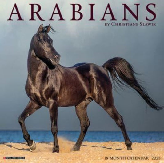 Arabians 2025 12 X 12 Wall Calendar-9781549241413