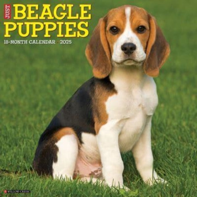 Just Beagle Puppies 2025 12 X 12 Wall Calendar-9781549241642