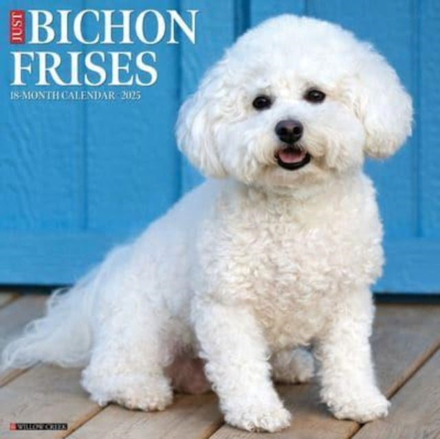Just Bichons Frises 2025 12 X 12 Wall Calendar-9781549241741