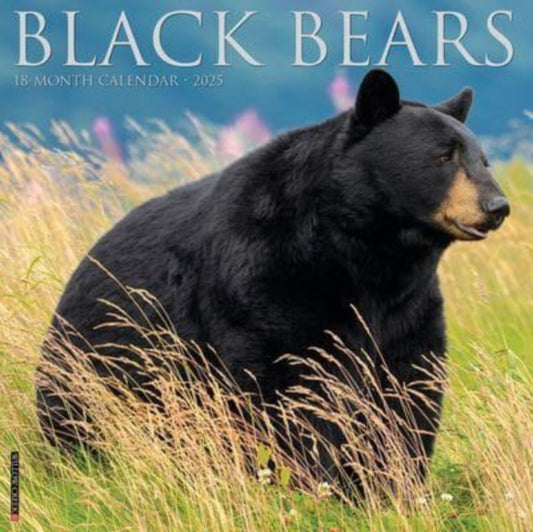 Black Bears 2025 12 X 12 Wall Calendar-9781549241826