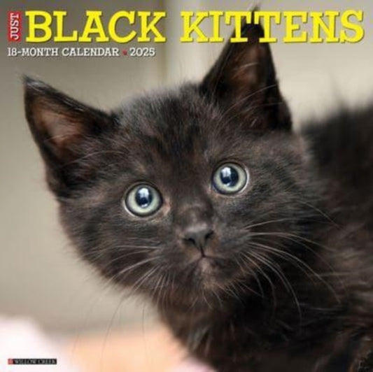 Just Black Kittens 2025 12 X 12 Wall Calendar-9781549241840