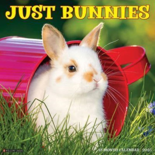 Just Bunnies 2025 12 X 12 Wall Calendar-9781549242045