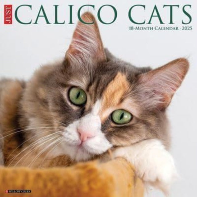 Just Calico Cats 2025 12 X 12 Wall Calendar-9781549242090