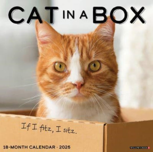 Cat in a Box 2025 12 X 12 Wall Calendar-9781549242182