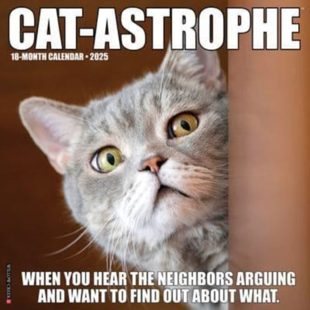 Cat-Astrophe 2025 12 X 12 Wall Calendar-9781549242212