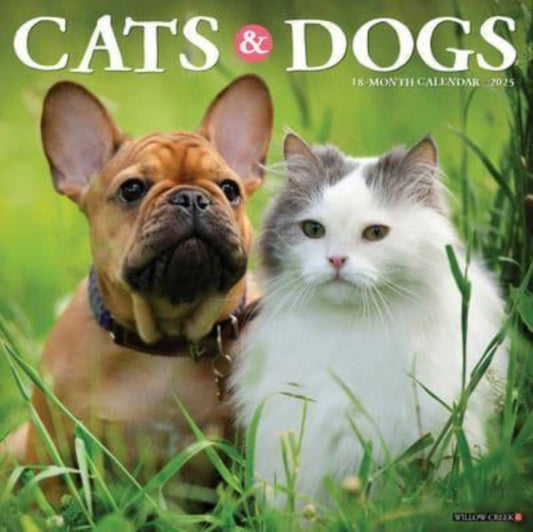 Cats & Dogs 2025 12 X 12 Wall Calendar-9781549242243