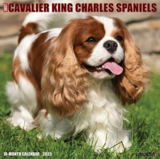Just Cavalier King Charles Spaniels 2025 12 X 12 Wall Calendar-9781549242274