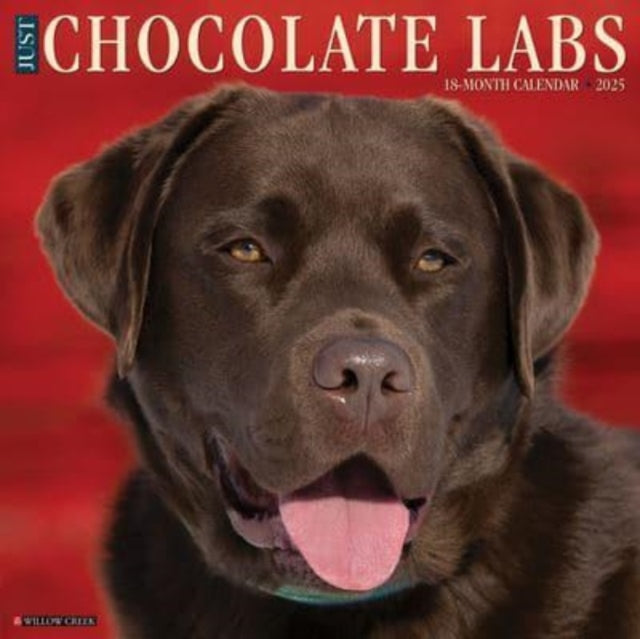 Just Chocolate Labs 2025 12 X 12 Wall Calendar-9781549242359