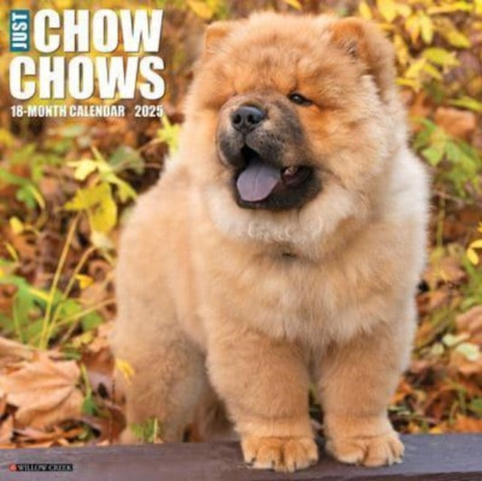 Just Chow Chows 2025 12 X 12 Wall Calendar-9781549242380
