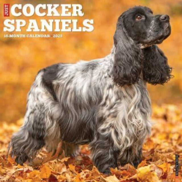 Just Cocker Spaniels 2025 12 X 12 Wall Calendar-9781549242496
