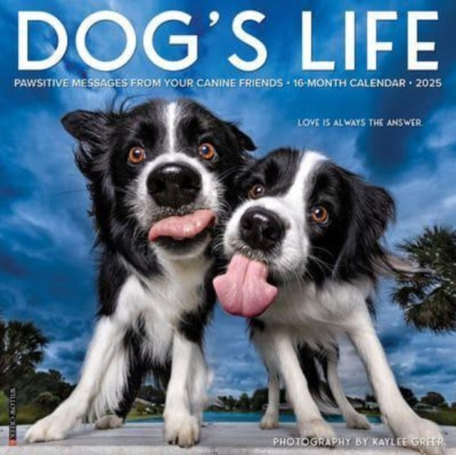 Dog's Life 2025 12 X 12 Wall Calendar-9781549242731