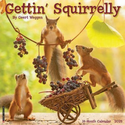Gettin' Squirrelly 2025 12 X 12 Wall Calendar-9781549243042