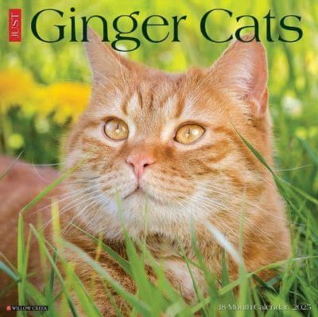 Just Ginger Cats 2025 12 X 12 Wall Calendar-9781549243059