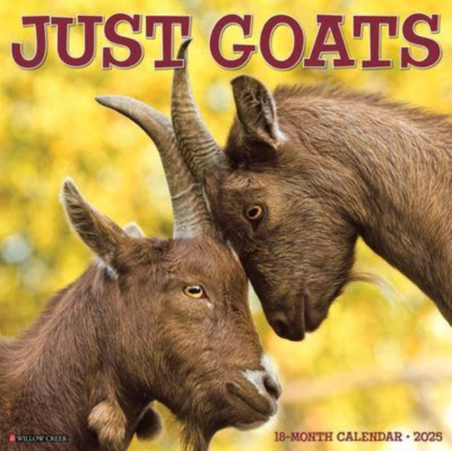 Goats 2025 12 X 12 Wall Calendar-9781549243073