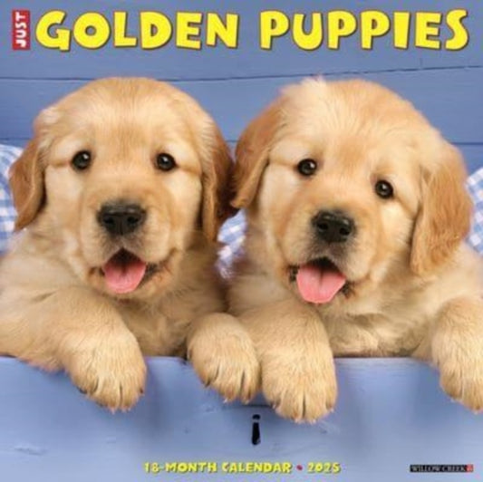 Just Golden Puppies 2025 12 X 12 Wall Calendar-9781549243097