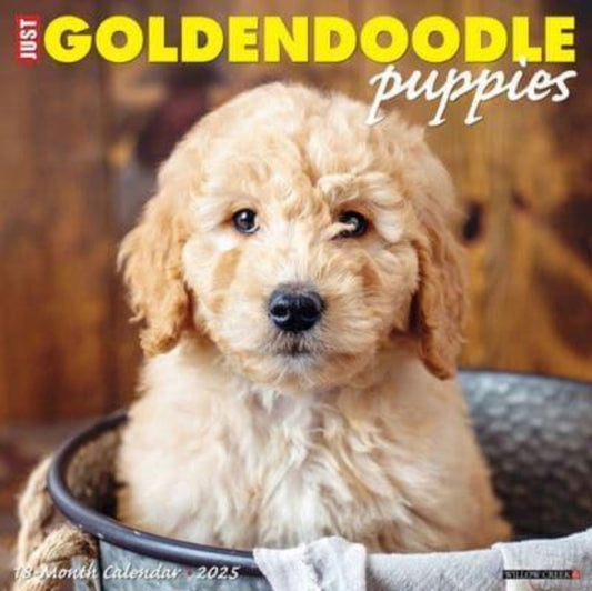 Just Goldendoodle Puppies 2025 12 X 12 Wall Calendar-9781549243110