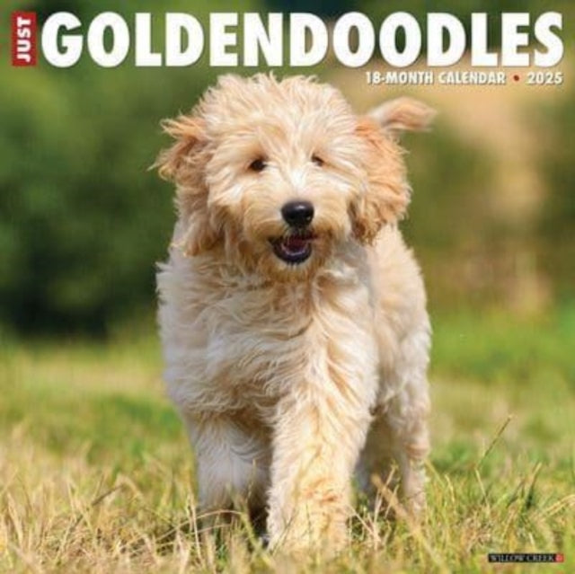 Just Goldendoodles 2025 12 X 12 Wall Calendar-9781549243127
