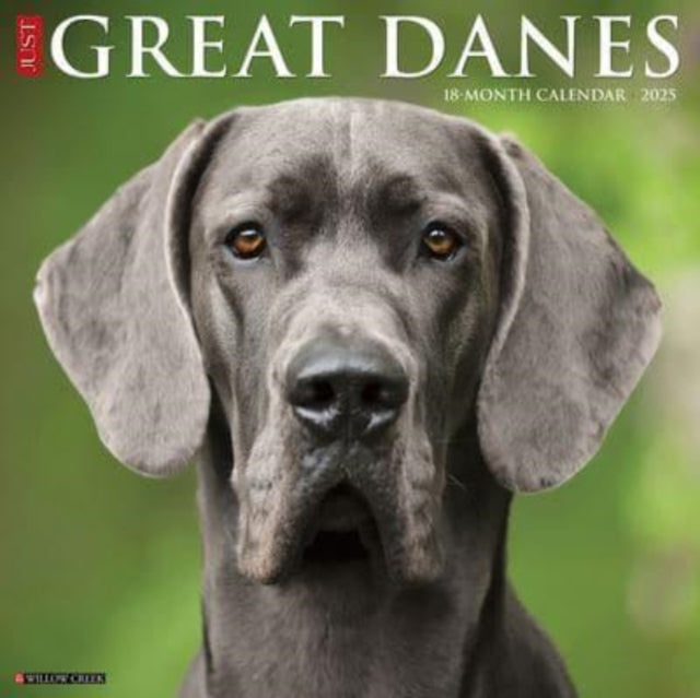 Just Great Danes 2025 12 X 12 Wall Calendar-9781549243196