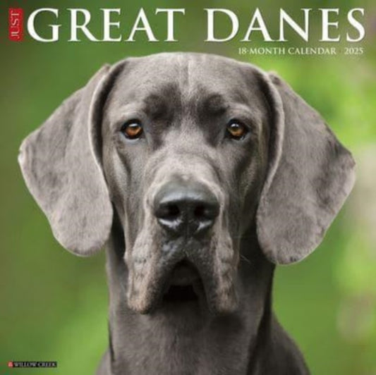 Just Great Danes 2025 12 X 12 Wall Calendar-9781549243196