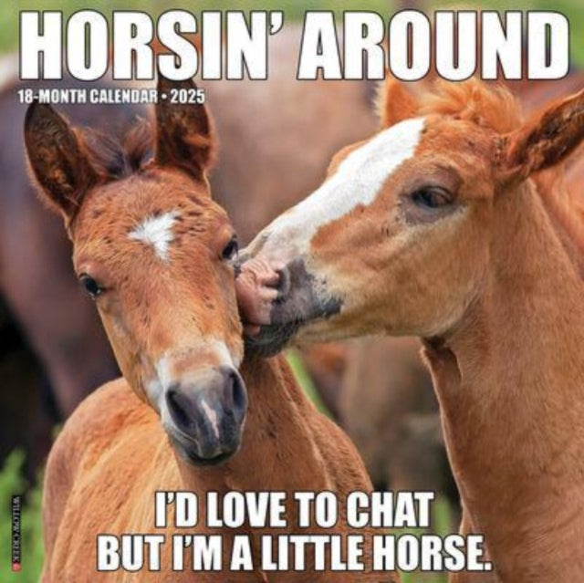 Horsin' Around 2025 12 X 12 Wall Calendar-9781549243394