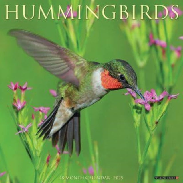 Hummingbirds 2025 12 X 12 Wall Calendar-9781549243400