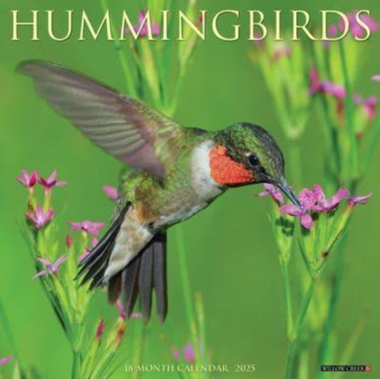 Hummingbirds 2025 12 X 12 Wall Calendar-9781549243400