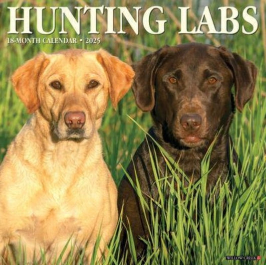Hunting Labs 2025 12 X 12 Wall Calendar-9781549243455