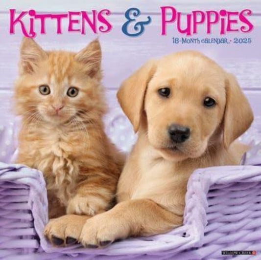 Kittens & Puppies 2025 12 X 12 Wall Calendar-9781549243646