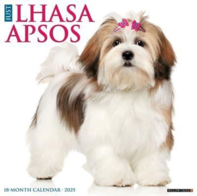 Just Lhasa Apsos 2025 12 X 12 Wall Calendar-9781549243707