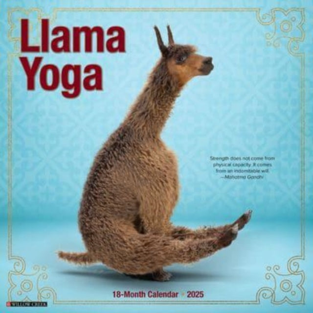 Llama Yoga 2025 12 X 12 Wall Calendar-9781549243783