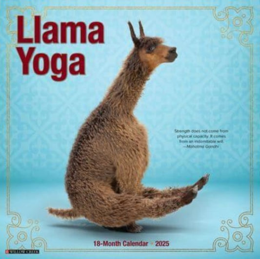 Llama Yoga 2025 12 X 12 Wall Calendar-9781549243783