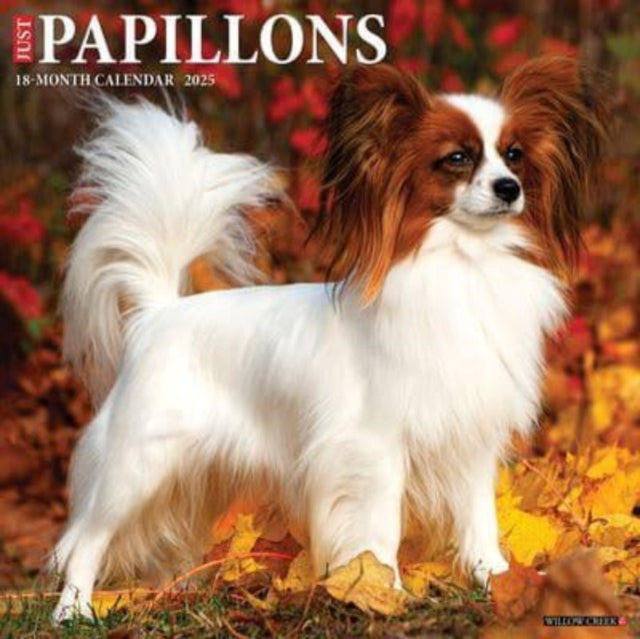 Just Papillons 2025 12 X 12 Wall Calendar-9781549244360