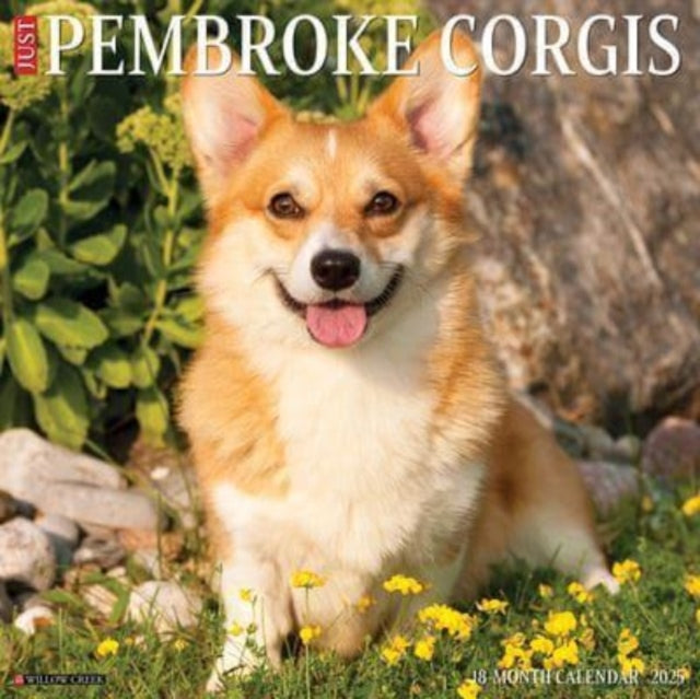 Just Pembroke Corgis 2025 12 X 12 Wall Calendar-9781549244414
