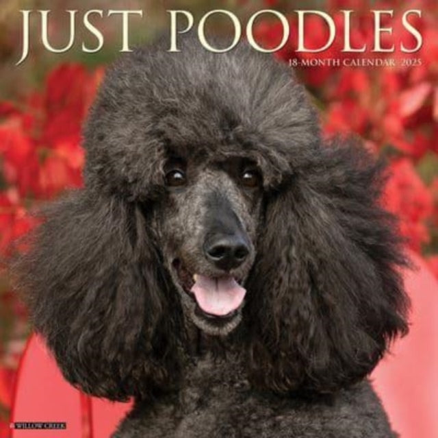 Just Poodles 2025 12 X 12 Wall Calendar-9781549244520