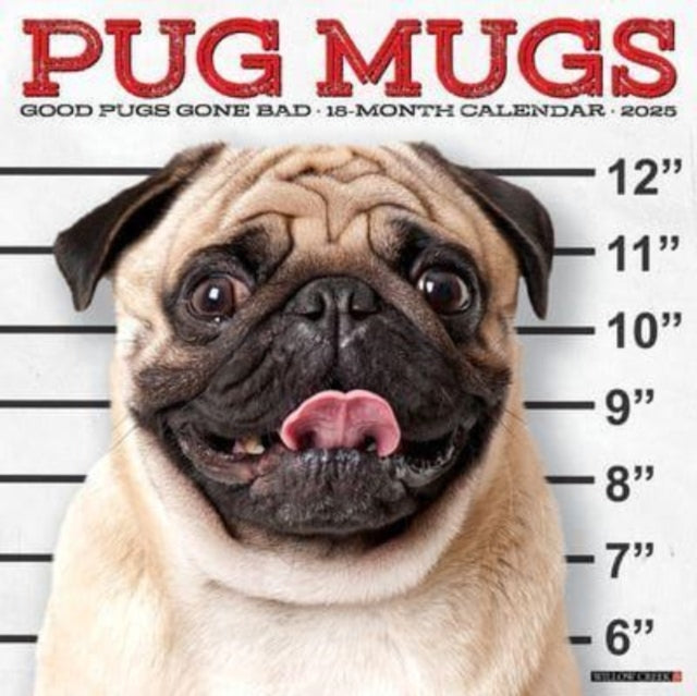 Pug Mugs 2025 12 X 12 Wall Calendar-9781549244551