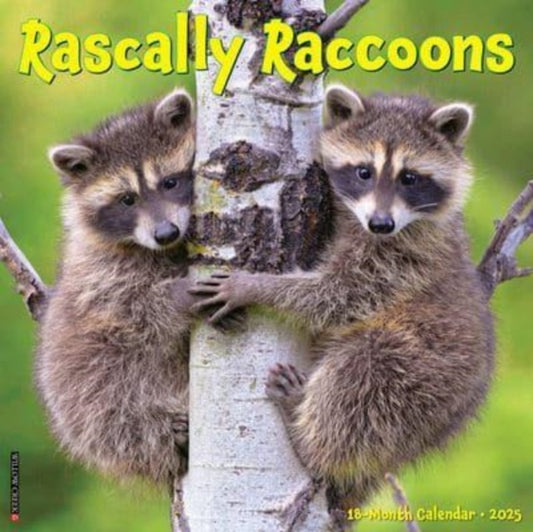 Rascally Raccoons 2025 12 X 12 Wall Calendar-9781549244643