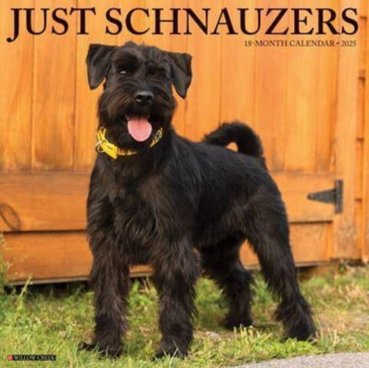 Just Schnauzers 2025 12 X 12 Wall Calendar-9781549244766