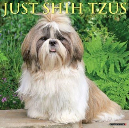 Just Shih Tzus 2025 12 X 12 Wall Calendar-9781549244872