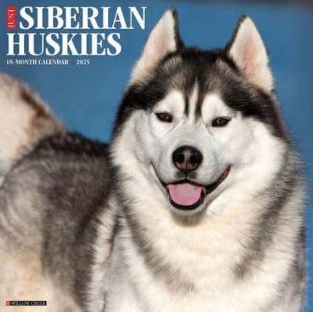 Just Siberian Huskies 2025 12 X 12 Wall Calendar-9781549244896