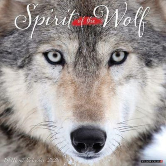 Spirit of the Wolf 2025 12 X 12 Wall Calendar-9781549245008